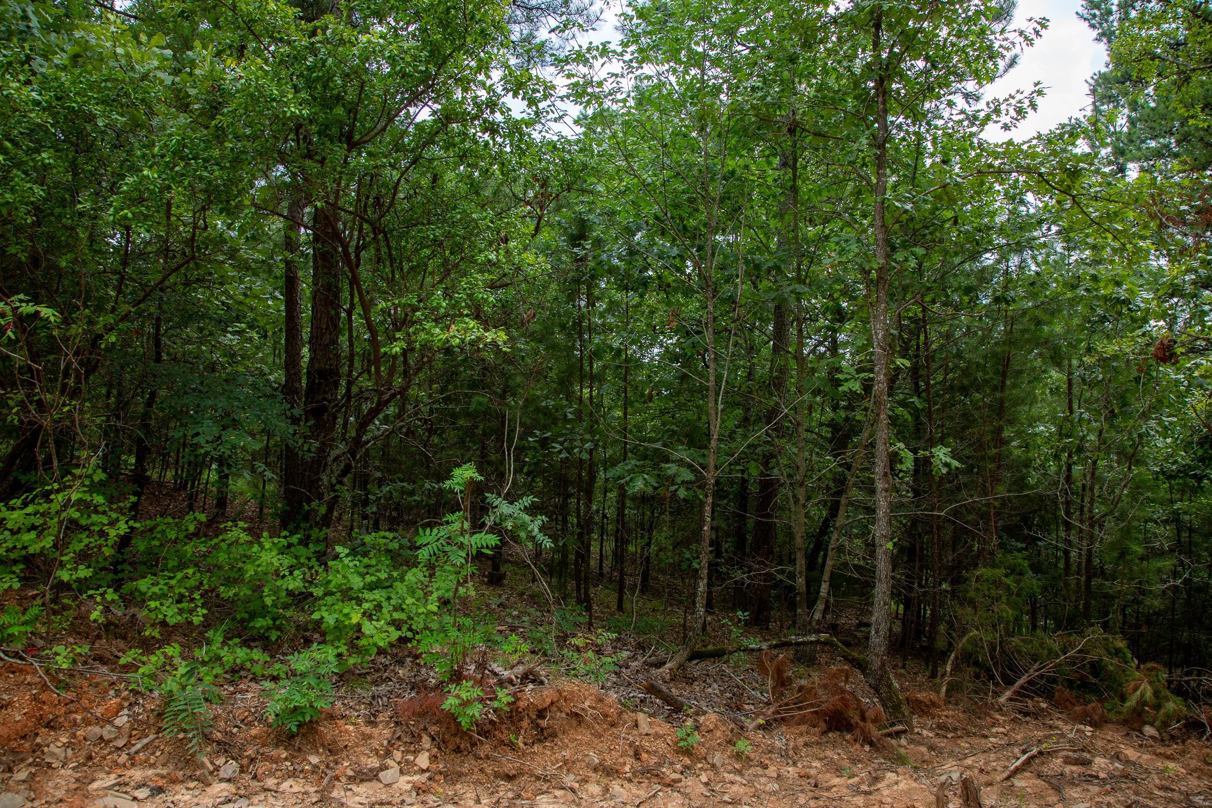 Tyler Stone Ranch Tract 59 photo 20