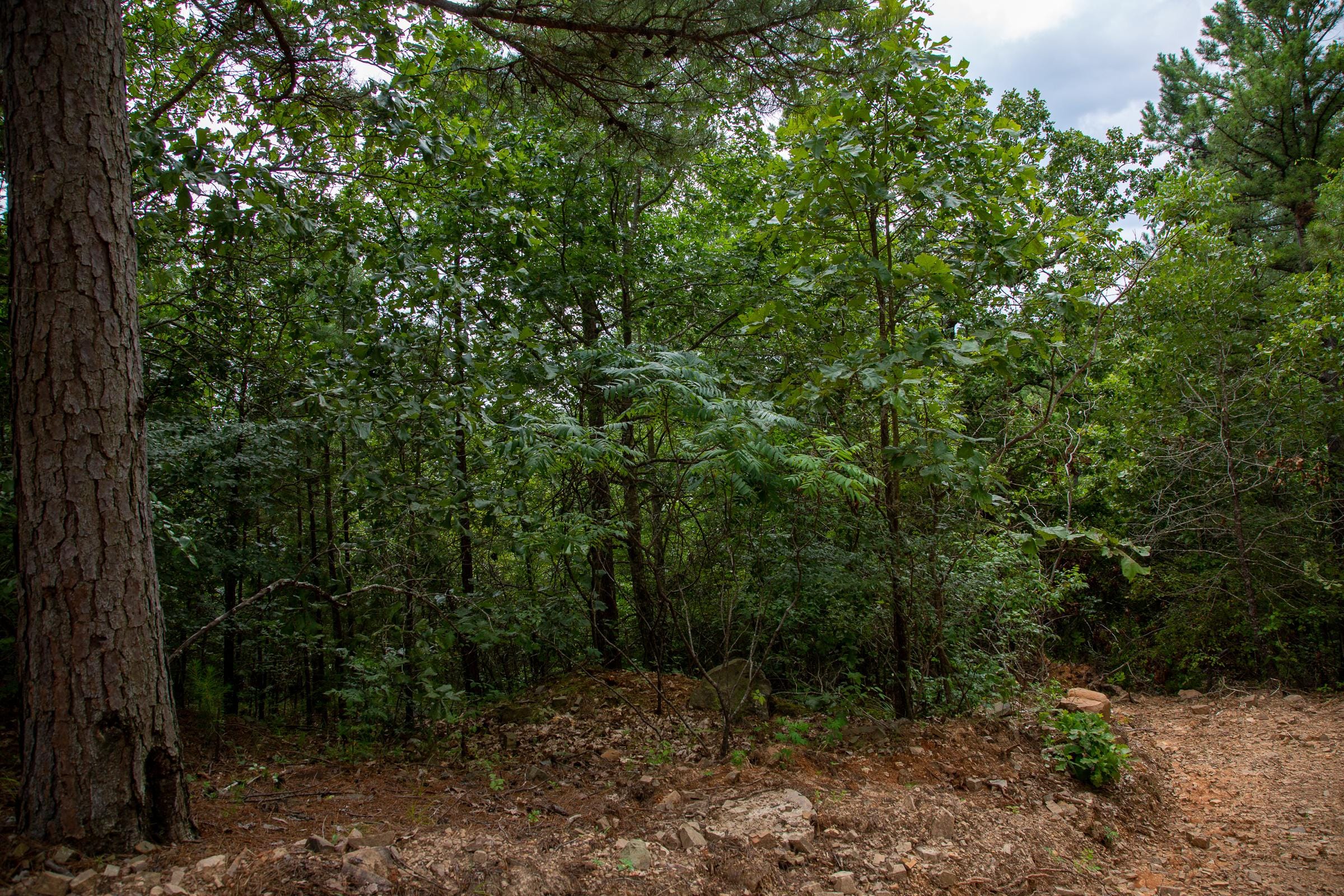 Tyler Stone Ranch Tract 59 photo 21