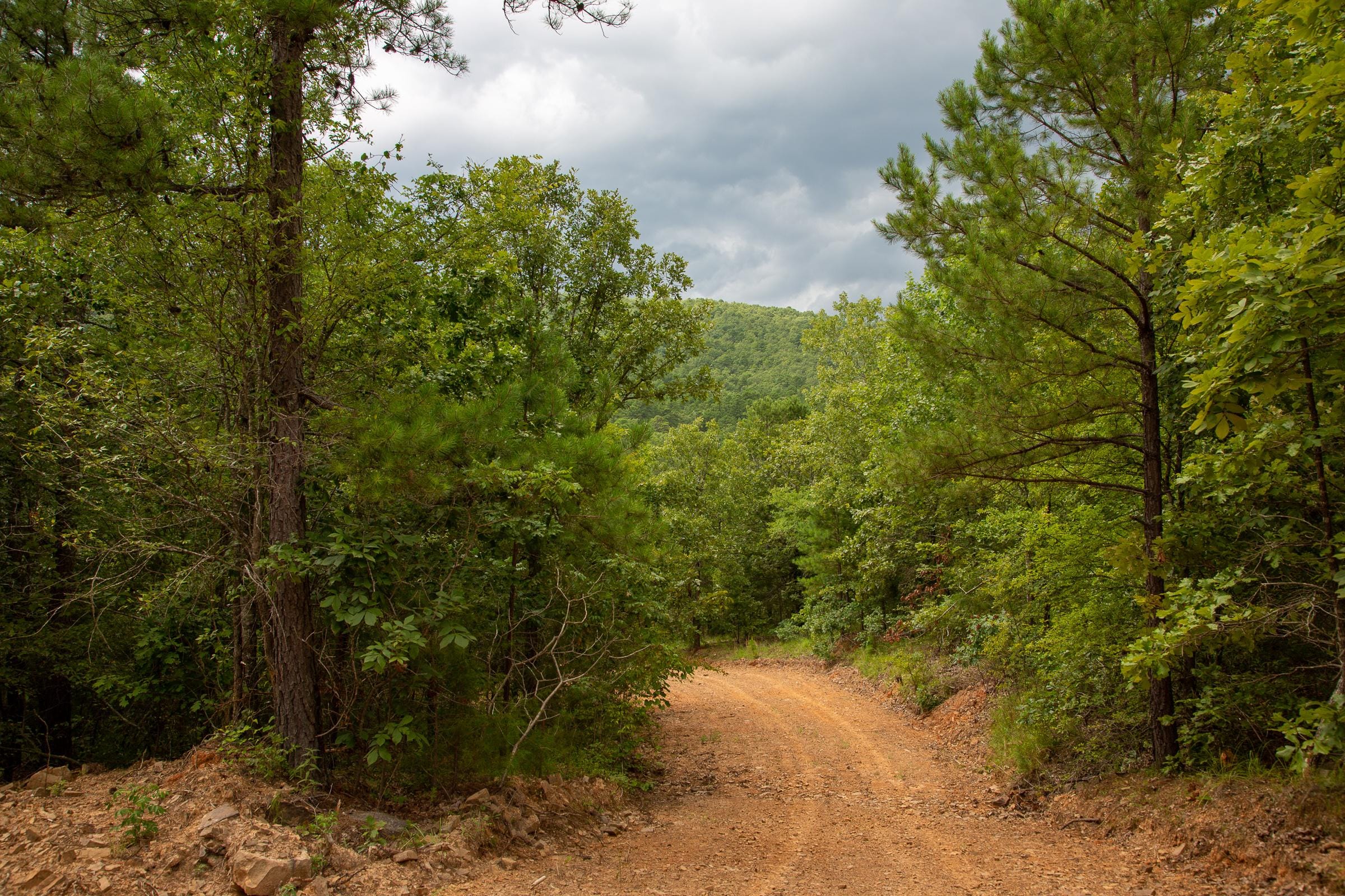 Tyler Stone Ranch Tract 59 photo 22