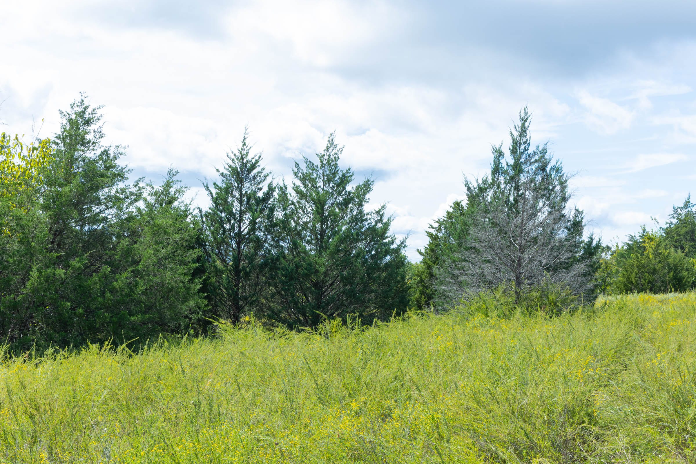 Reserves At Cattail Cove Phase II Tract 36 photo 12