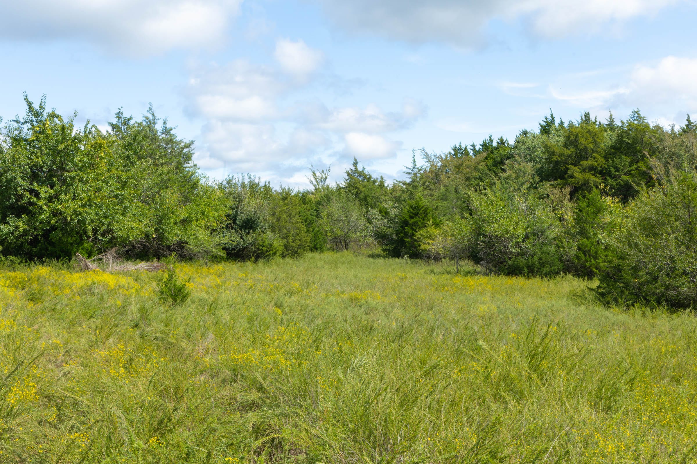 Reserves At Cattail Cove Phase II Tract 36 photo 13