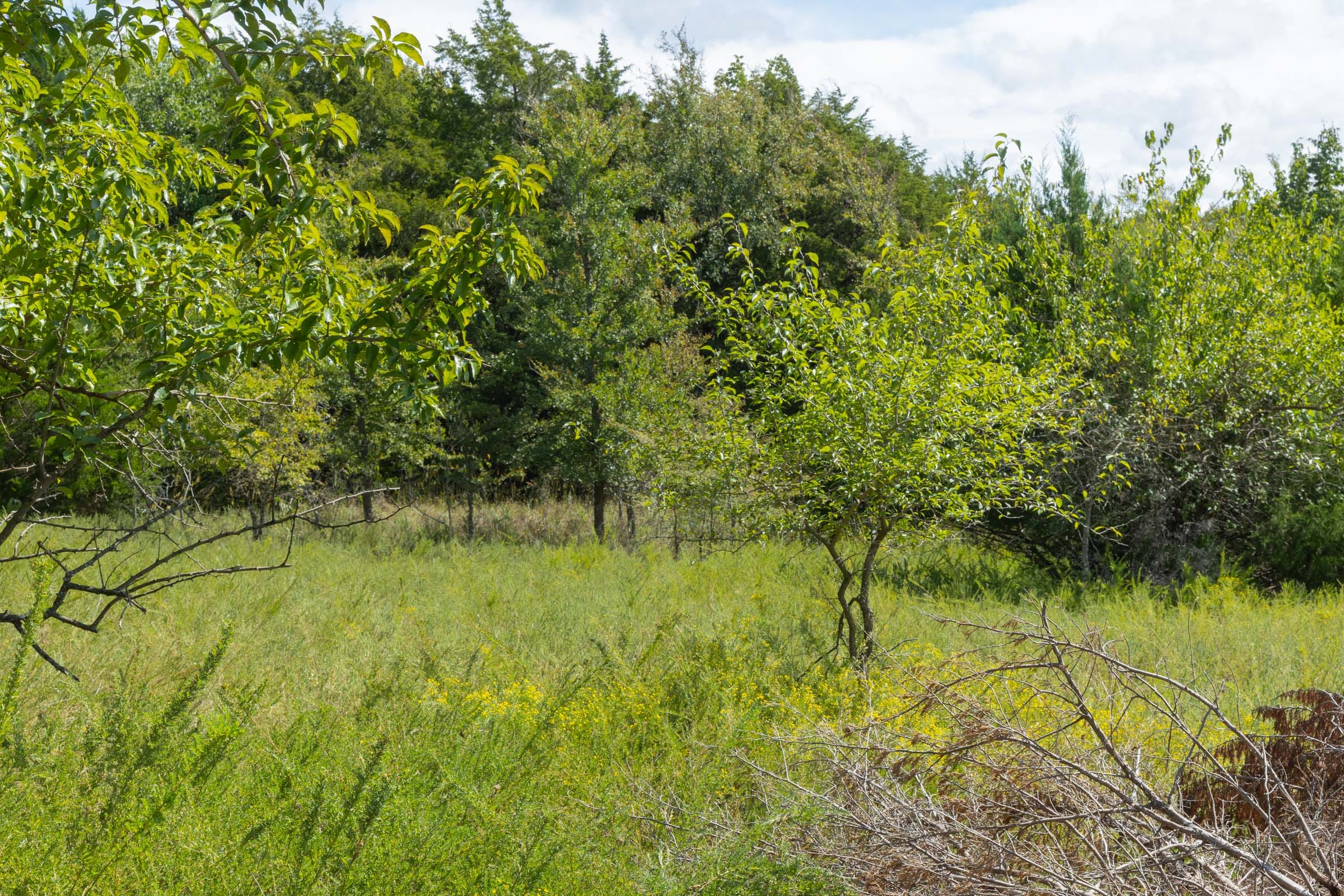 Reserves At Cattail Cove Phase II Tract 36 photo 11