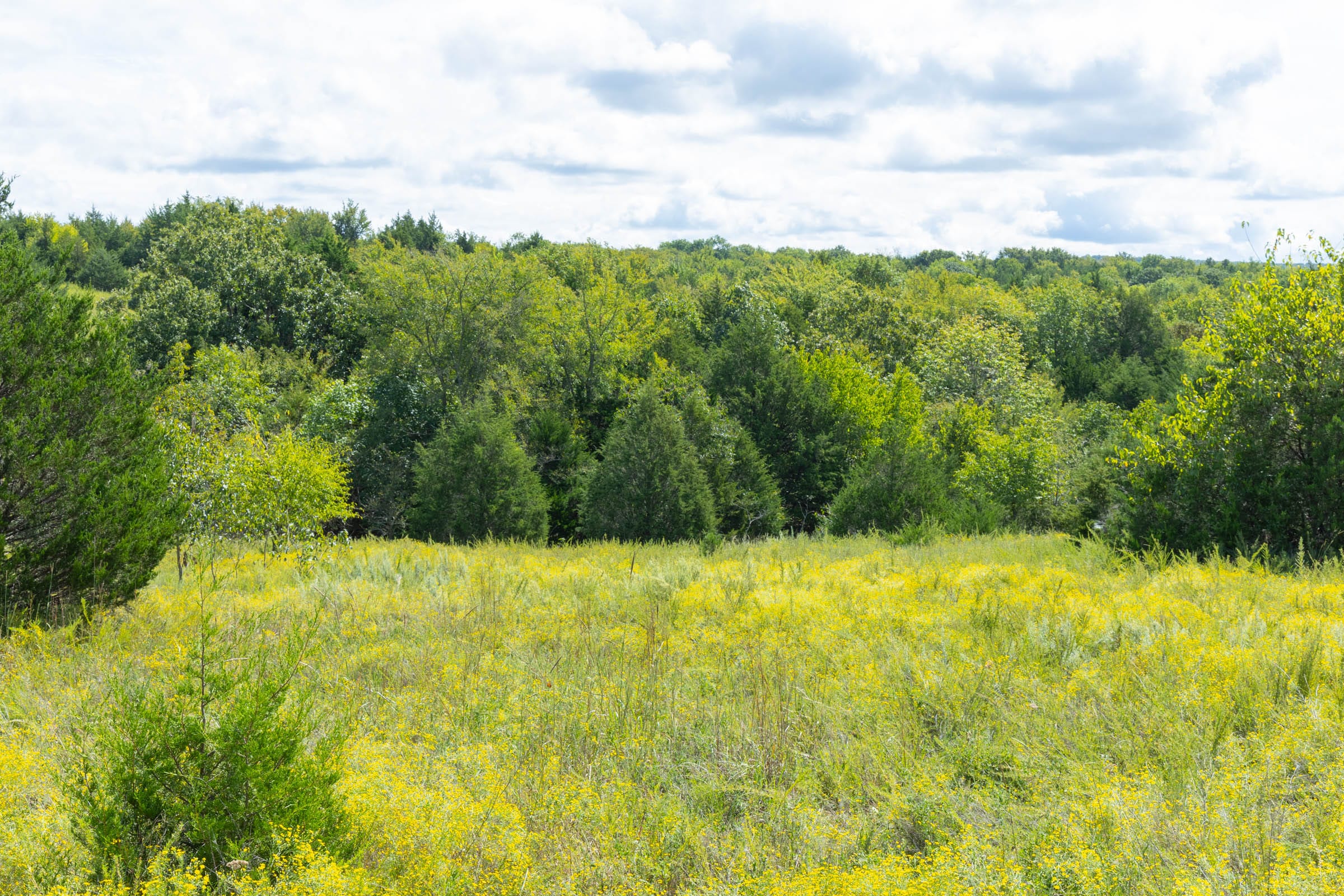 Reserves At Cattail Cove Phase II Tract 36 photo 6