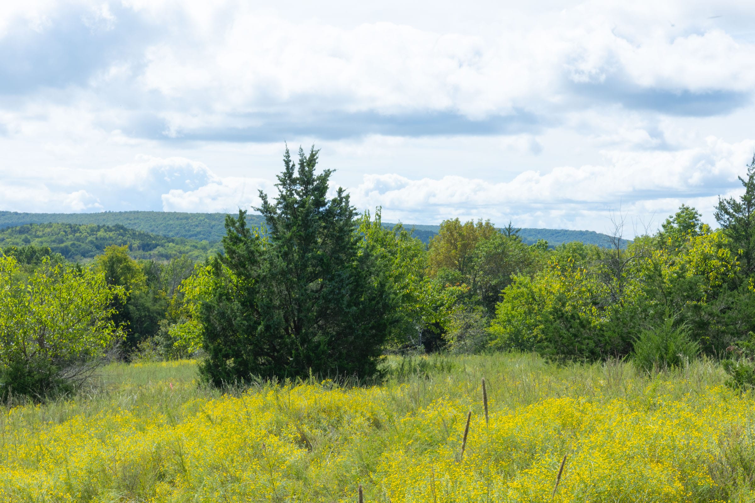 Reserves At Cattail Cove Phase II photo 17