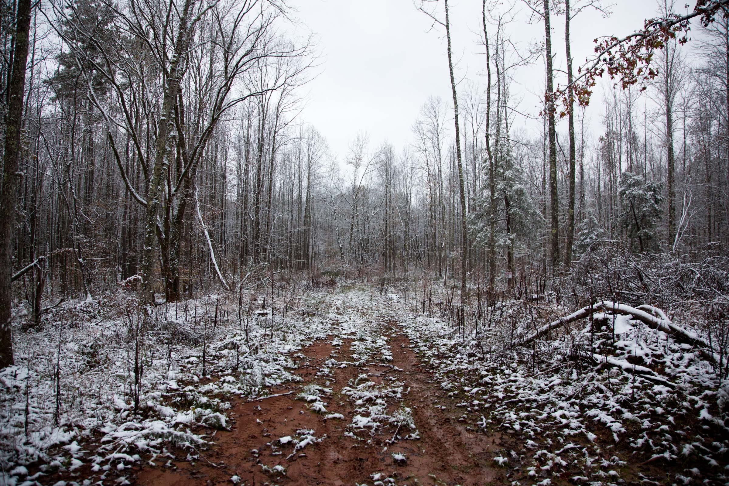 Sweet Water Ranch Tract 19 photo 1