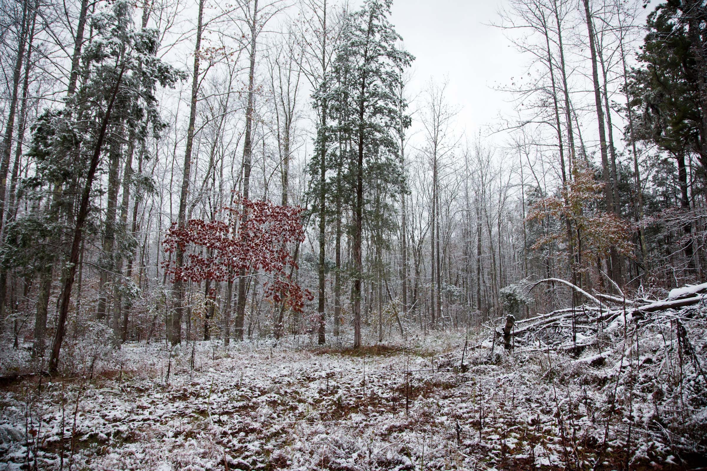 Sweet Water Ranch Tract 19 photo 4