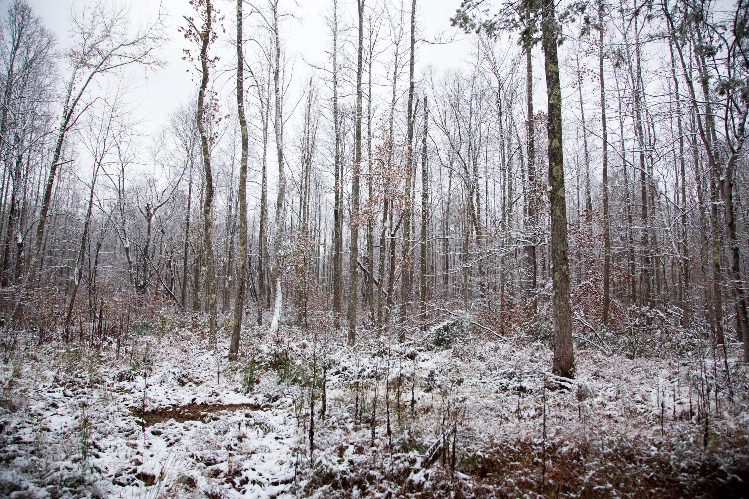 Sweet Water Ranch Tract 19 photo 5
