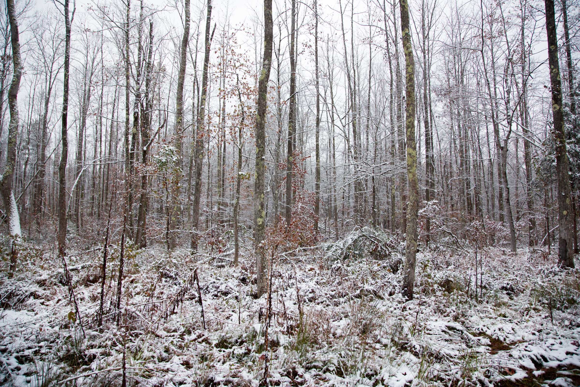 Sweet Water Ranch Tract 19 photo 6