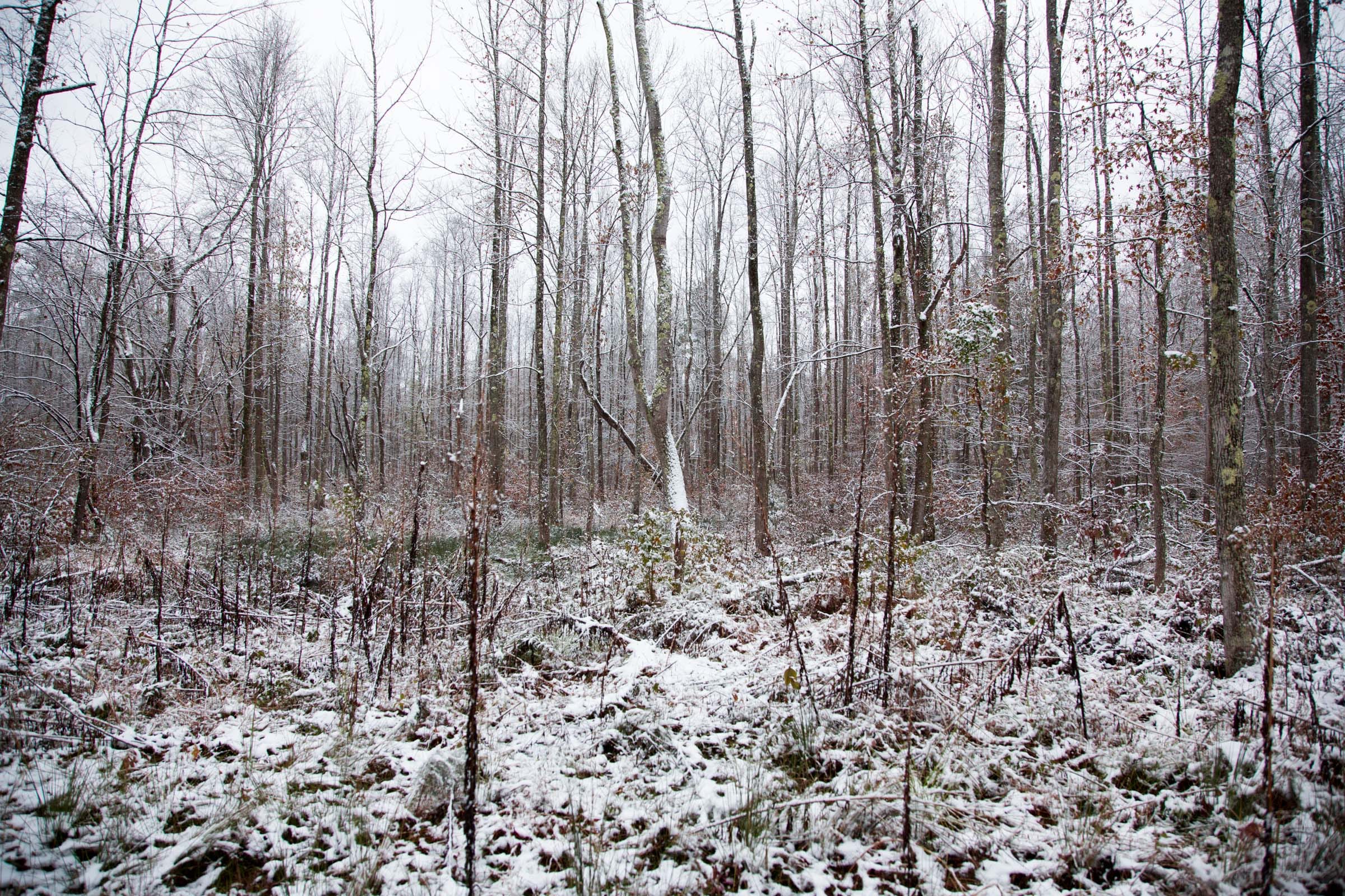 Sweet Water Ranch Tract 19 photo 7