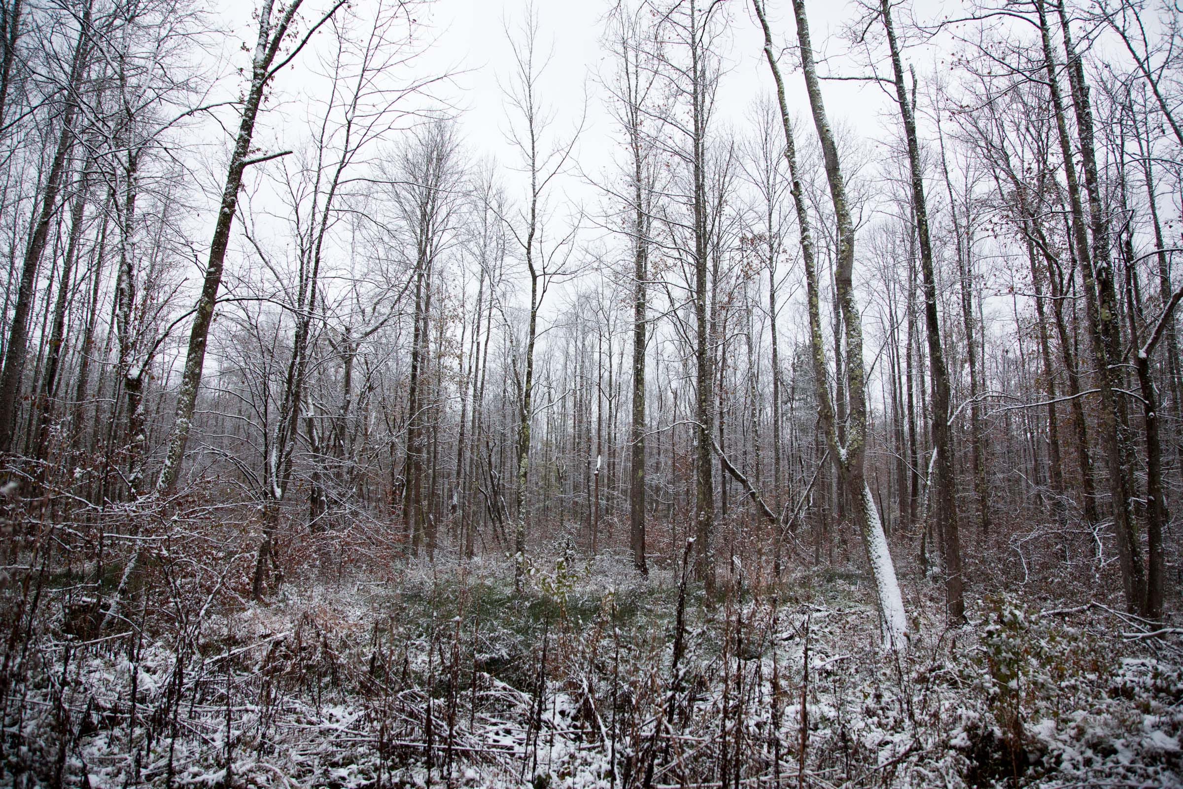 Sweet Water Ranch Tract 19 photo 8