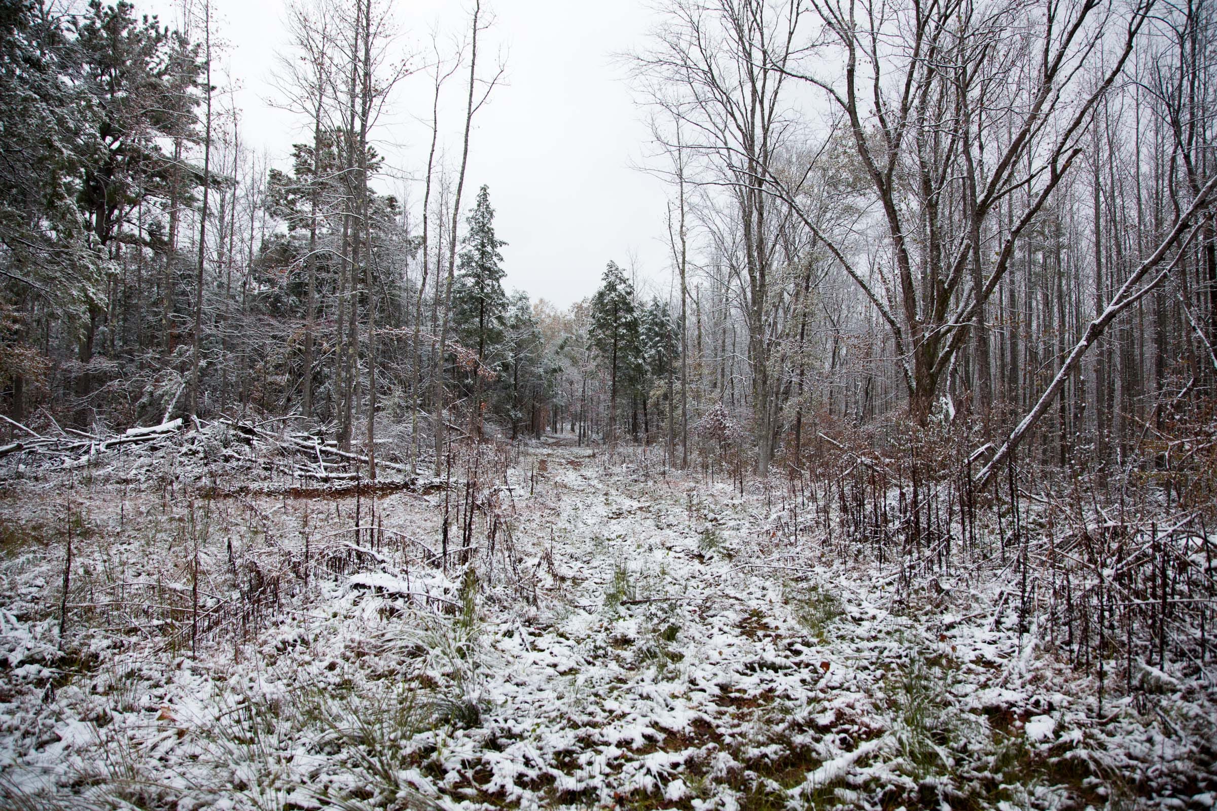 Sweet Water Ranch Tract 19 photo 9
