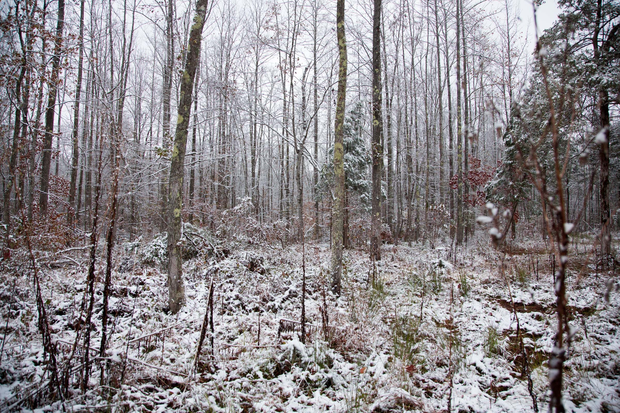 Sweet Water Ranch Tract 19 photo 10