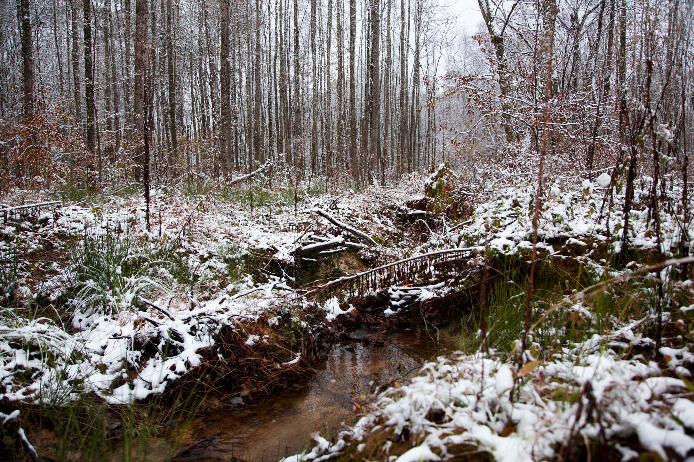 Sweet Water Ranch Tract 19 photo 11