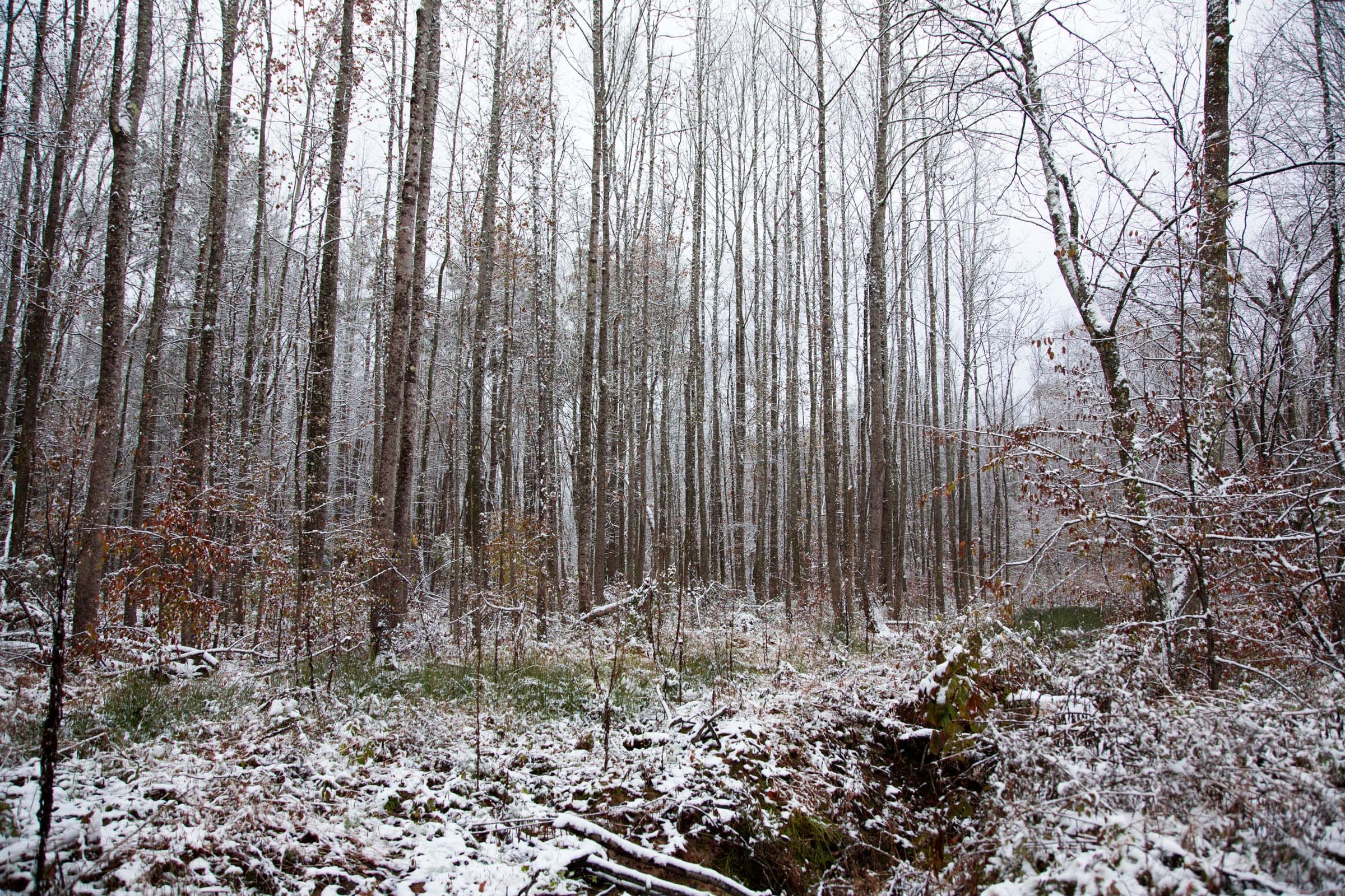Sweet Water Ranch Tract 19 photo 12