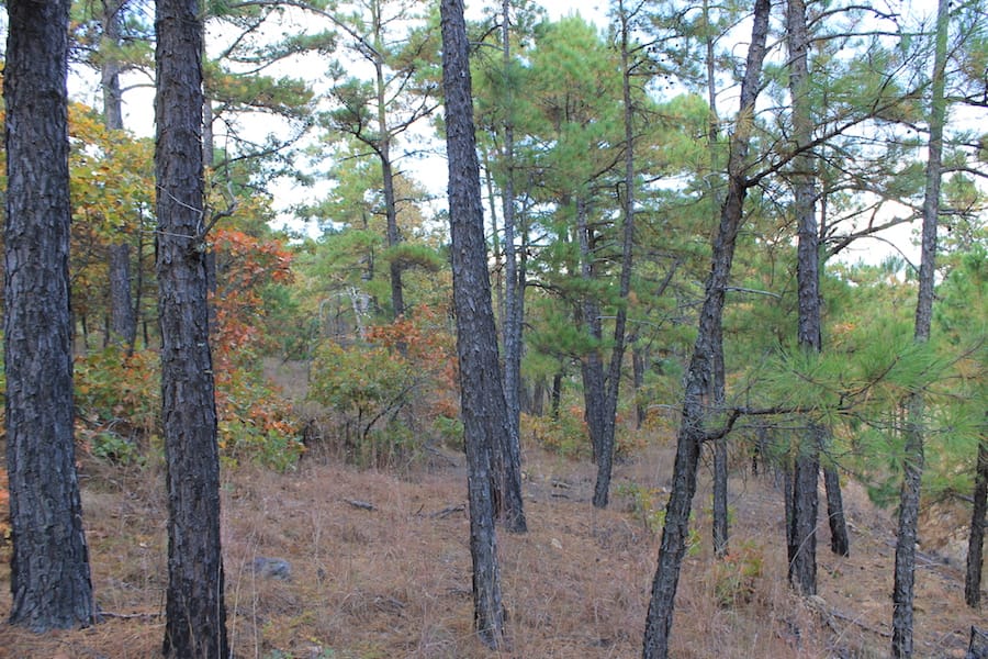 Indian Ridge – Phase III Tract 94 photo 6