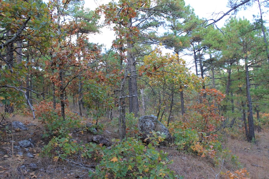 Indian Ridge – Phase III Tract 94 photo 7