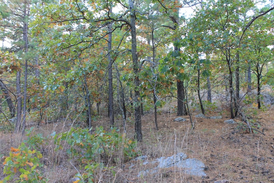 Indian Ridge – Phase III Tract 94 photo 9
