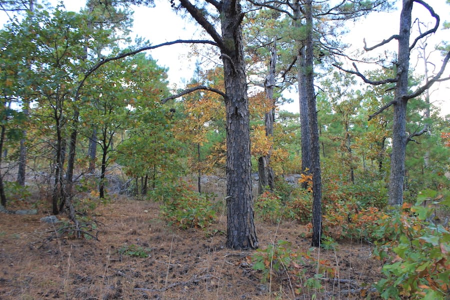Indian Ridge – Phase III Tract 94 photo 10