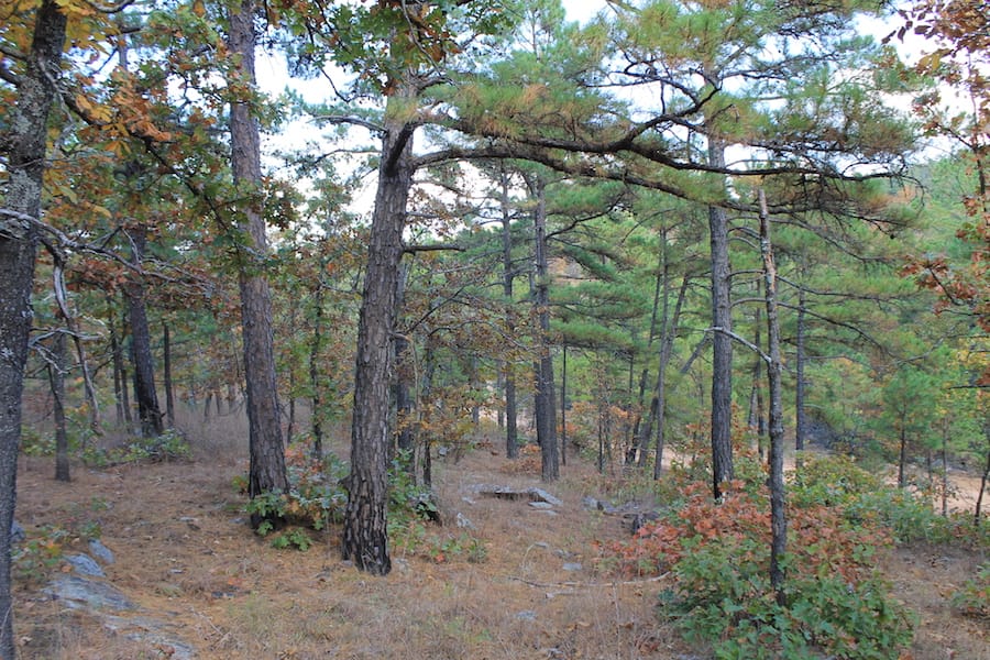 Indian Ridge – Phase III Tract 94 photo 13