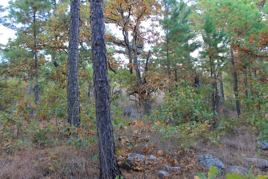 Indian Ridge – Phase III Tract 94 photo 14