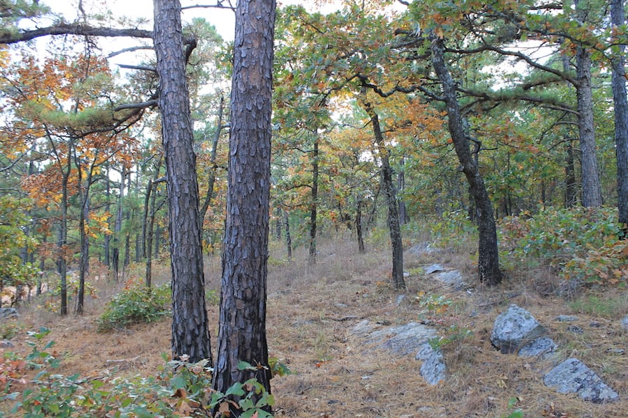 Indian Ridge – Phase III Tract 94 photo 16