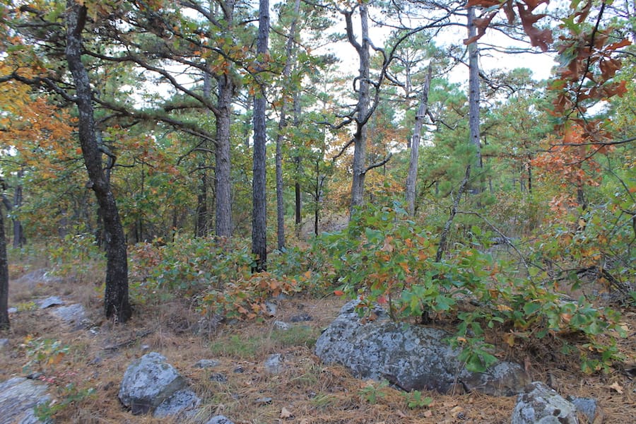 Indian Ridge – Phase III Tract 94 photo 17