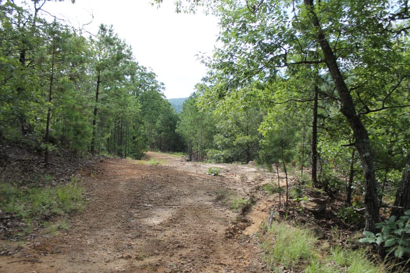 Trophy Ridge Phase III Tract 2 photo 1
