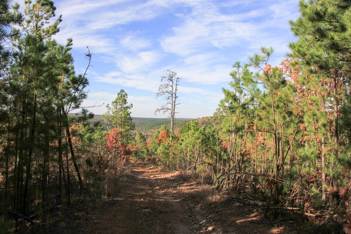 Stone Creek Phase III Tract 4 photo 2
