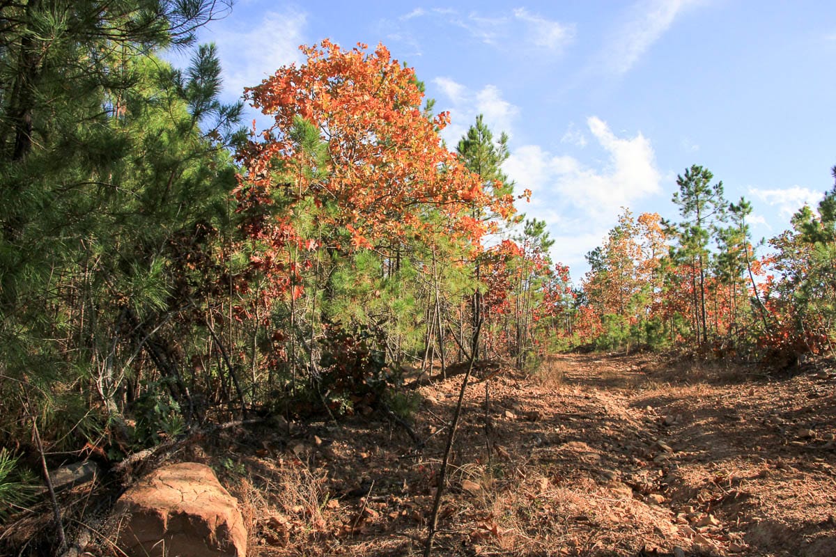 Stone Creek Phase III Tract 4 photo 3