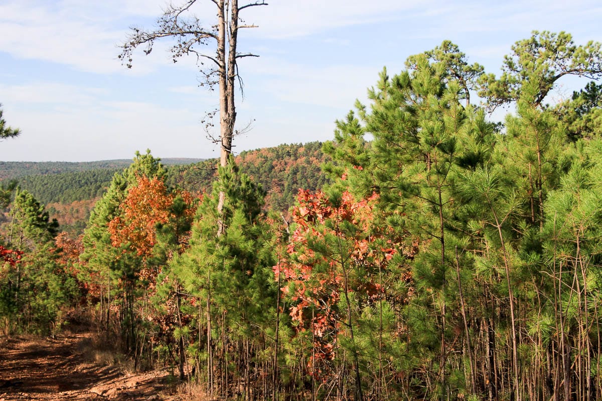 Stone Creek Phase III Tract 4 photo 8