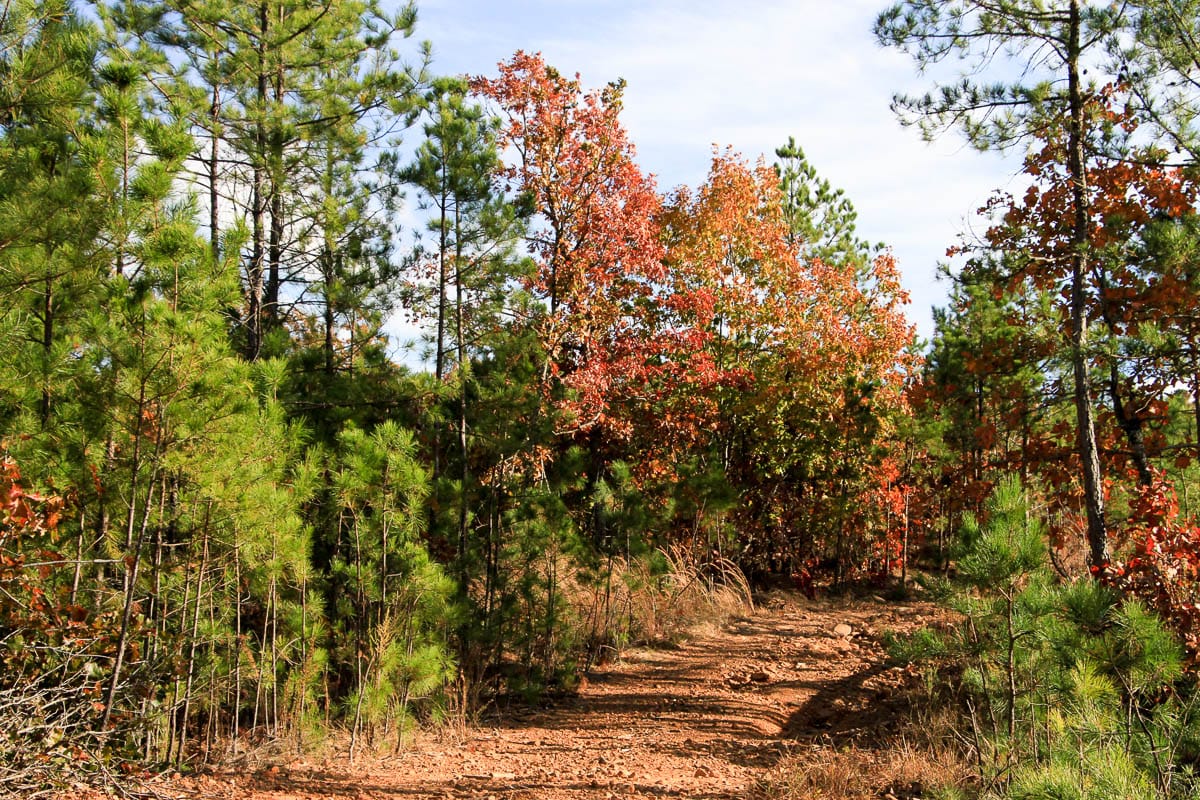 Stone Creek Phase III Tract 4 photo 11