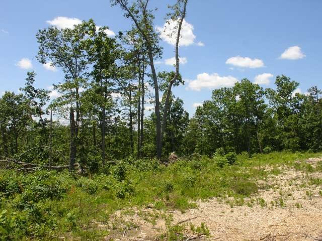 Antler Ridge Tract 15 photo 2