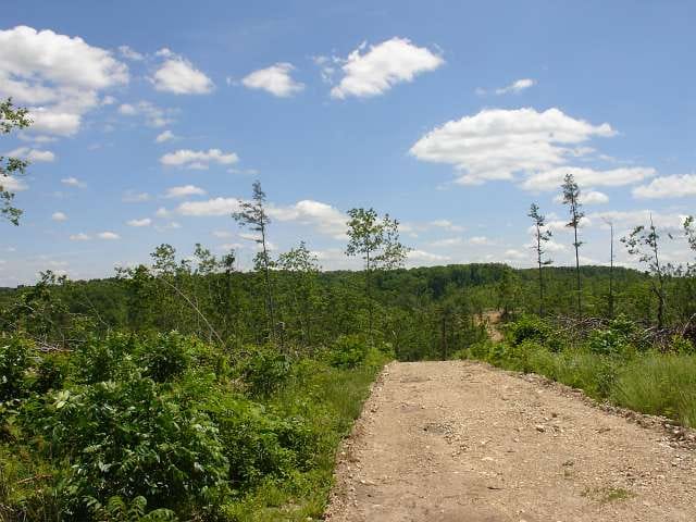 Antler Ridge Tract 15 photo 6
