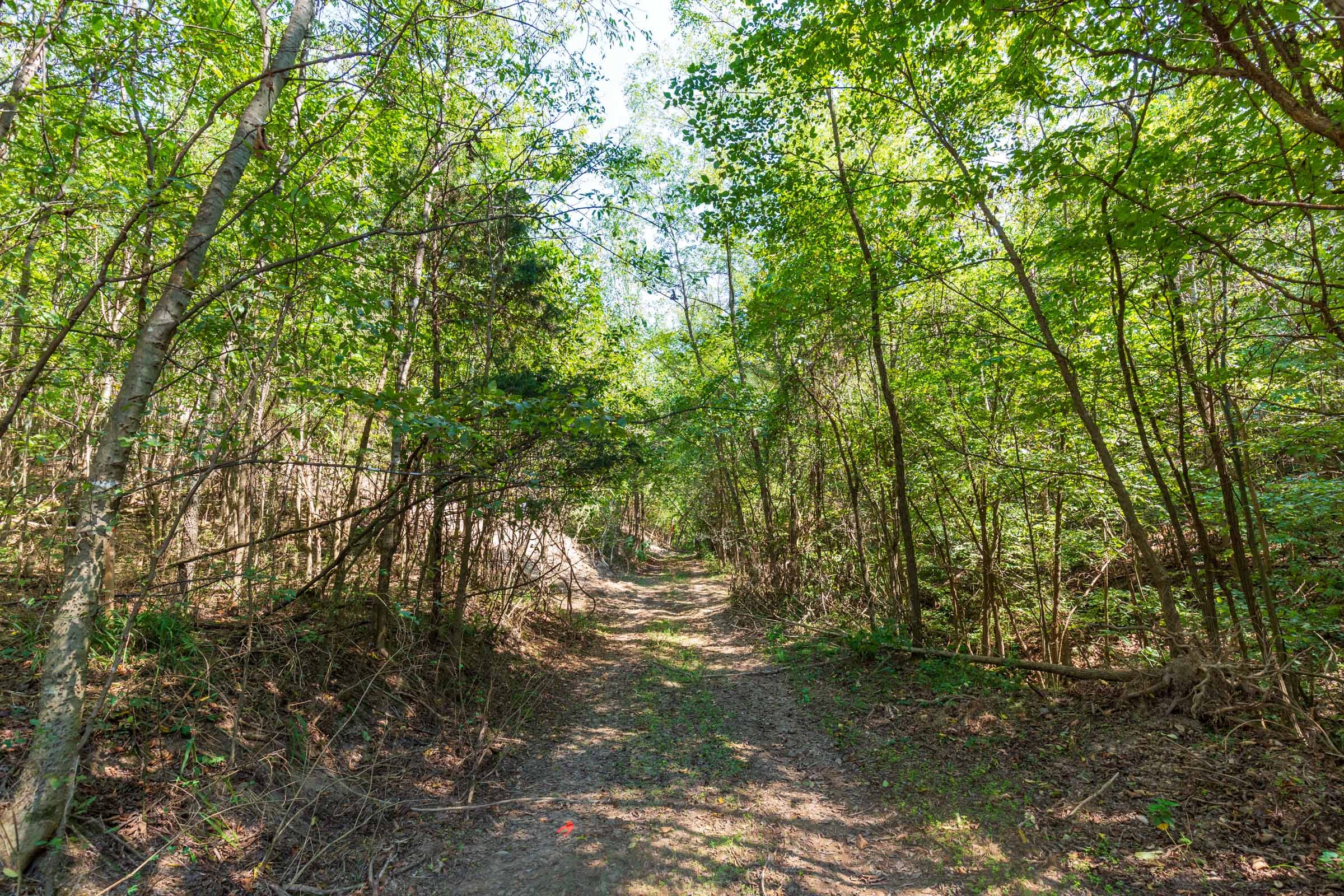 Redemption Ridge Tract 19 photo 7
