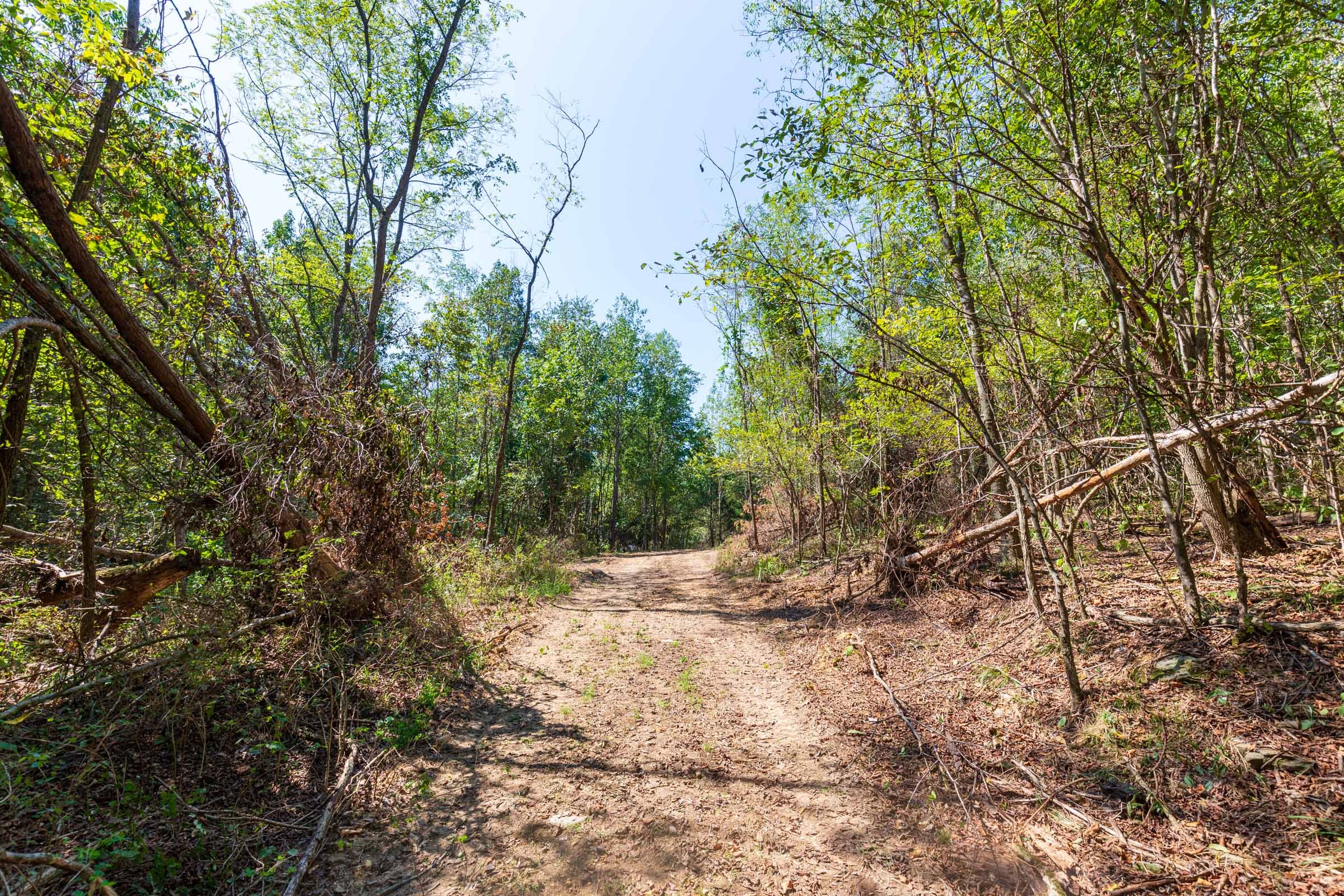 Redemption Ridge Tract 19 photo 4