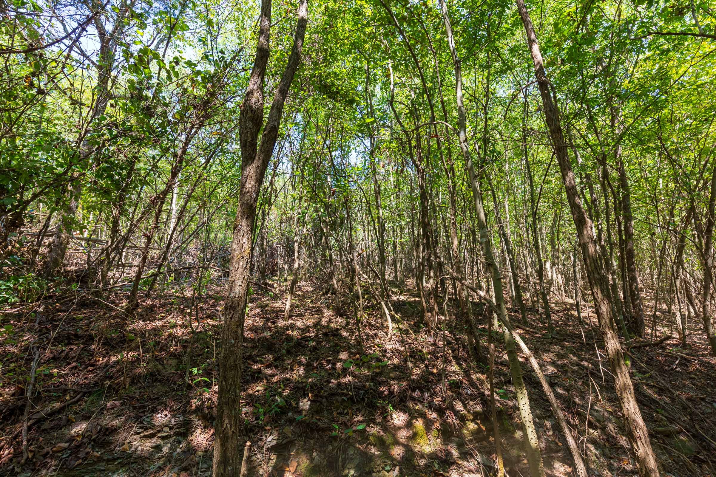Redemption Ridge Tract 19 photo 3