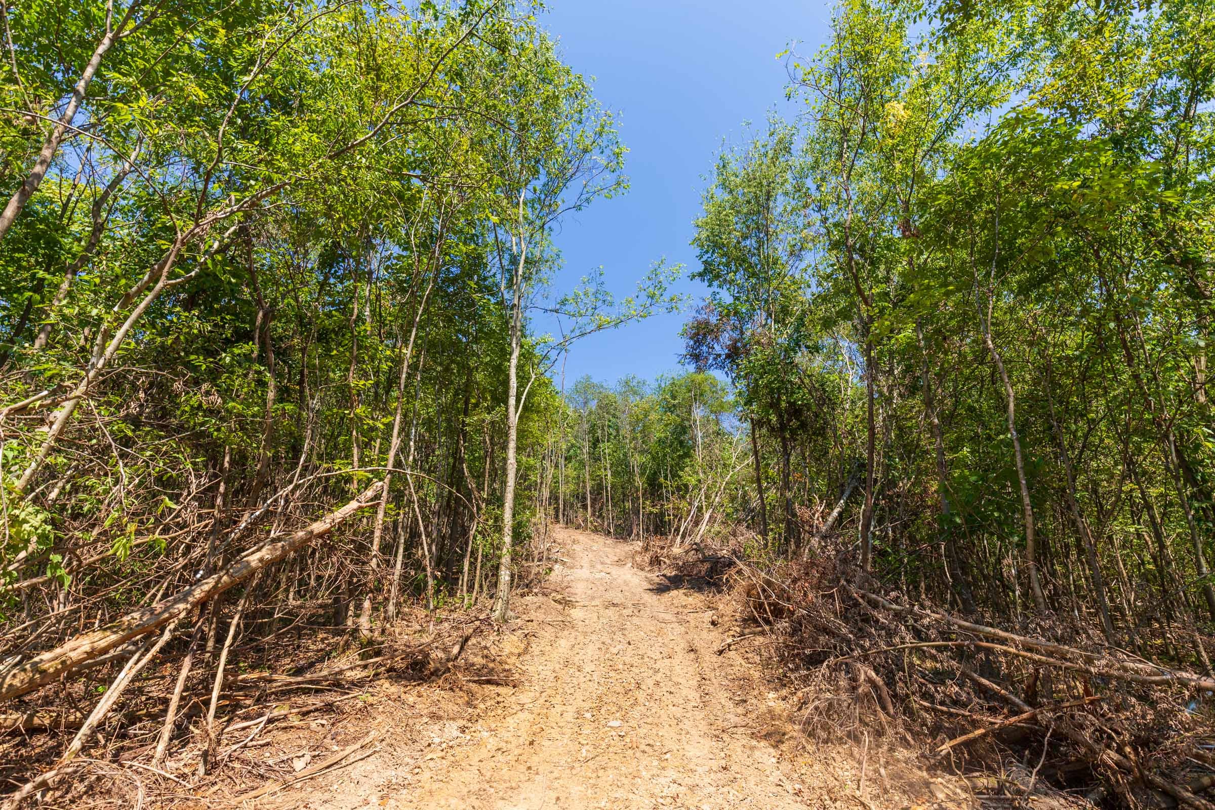 Redemption Ridge Tract 19 photo 1