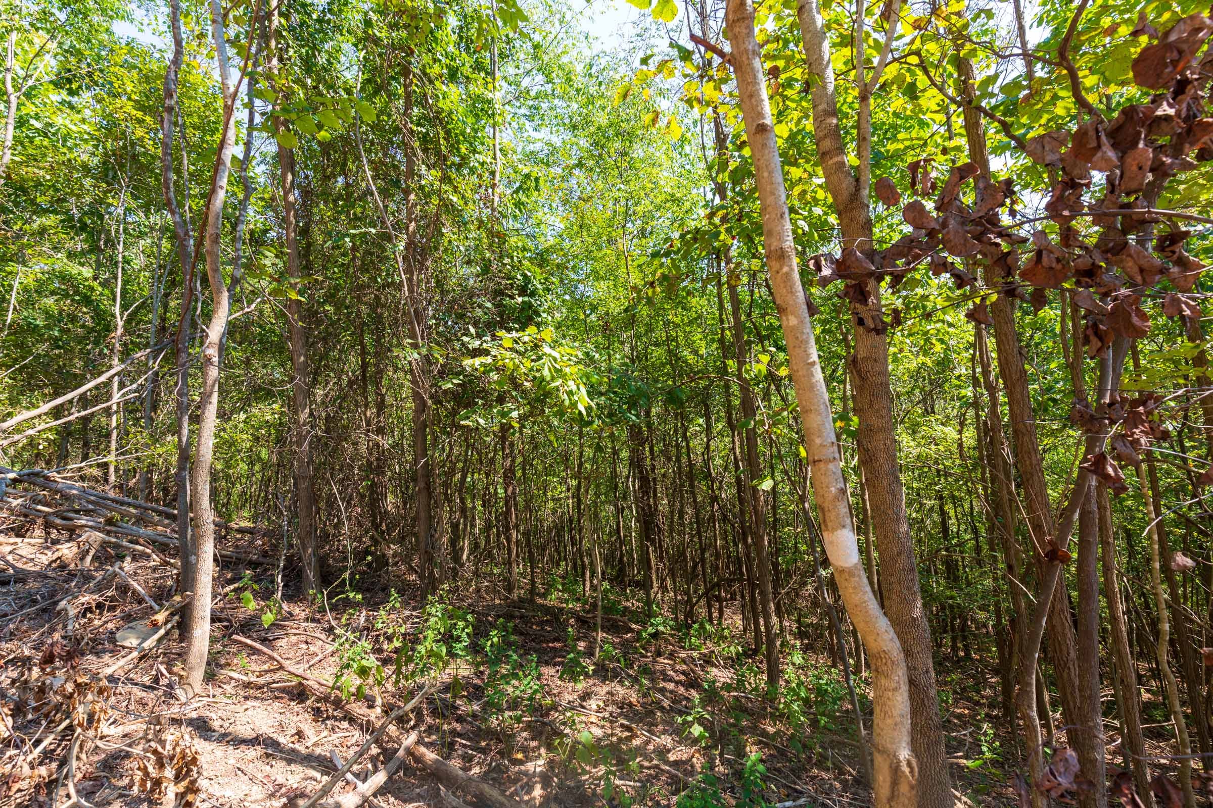 Redemption Ridge Tract 19 photo 6