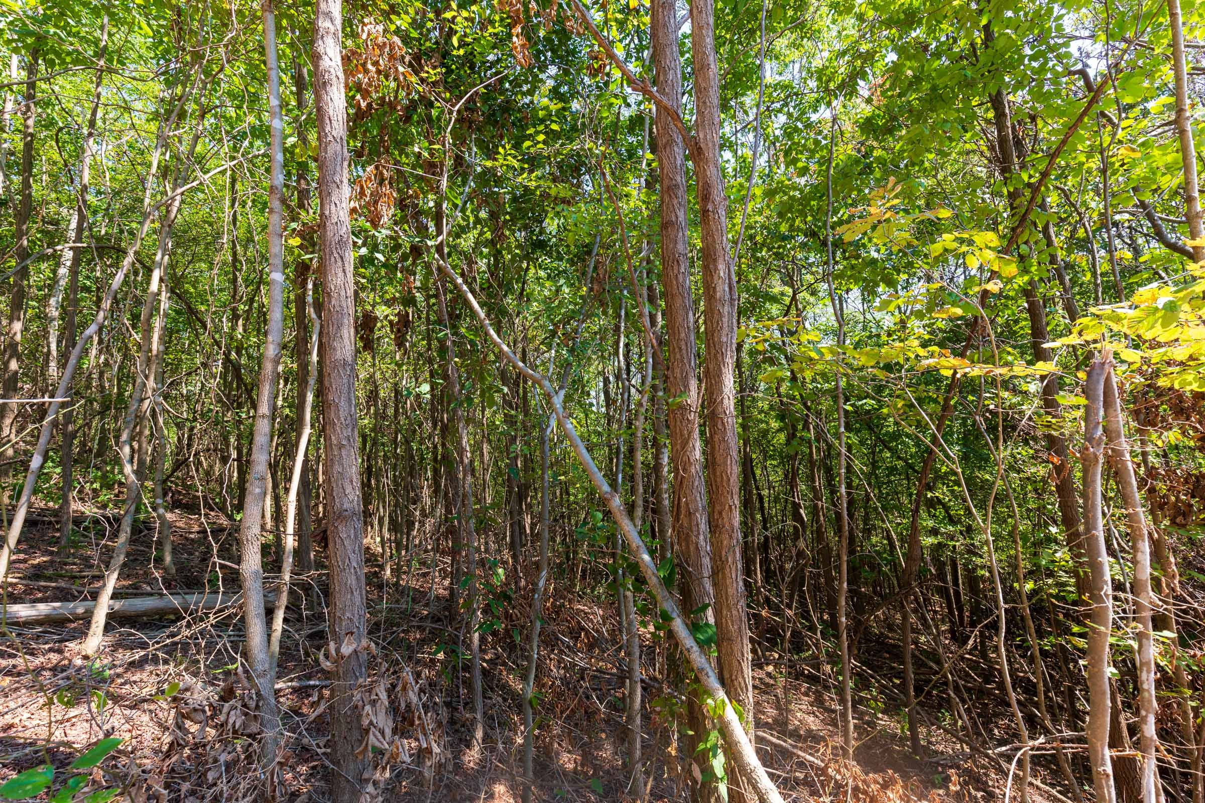 Redemption Ridge Tract 19 photo 9