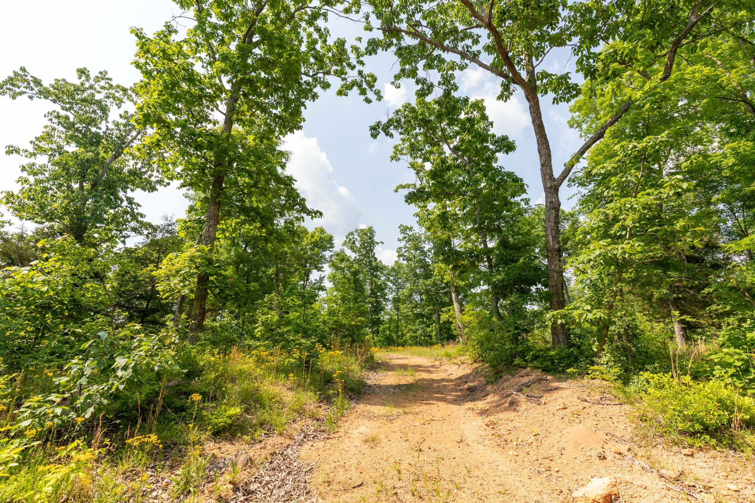 Cedar Creek Tract 60 photo 1