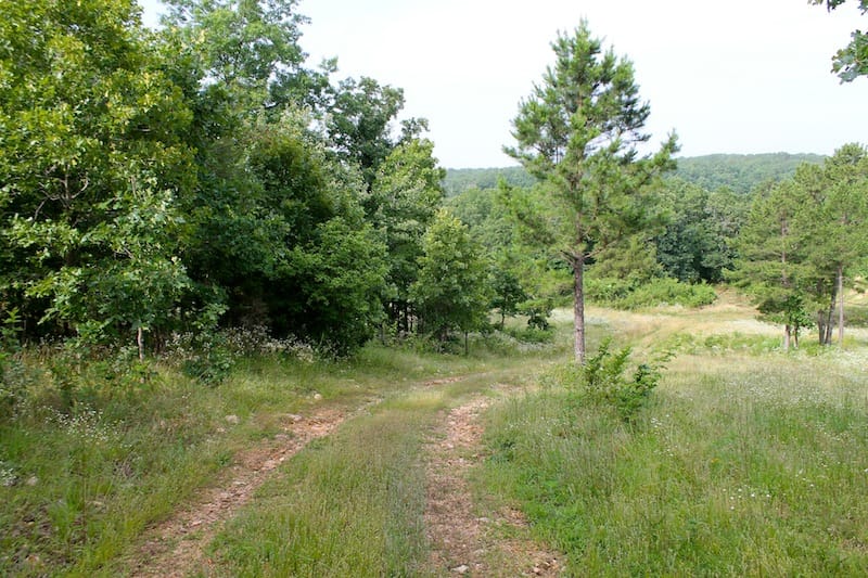 Green Mountain Ranch Tract 4 photo 1