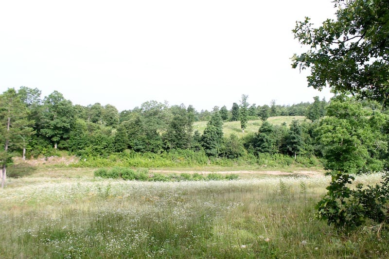 Green Mountain Ranch Tract 4 photo 2