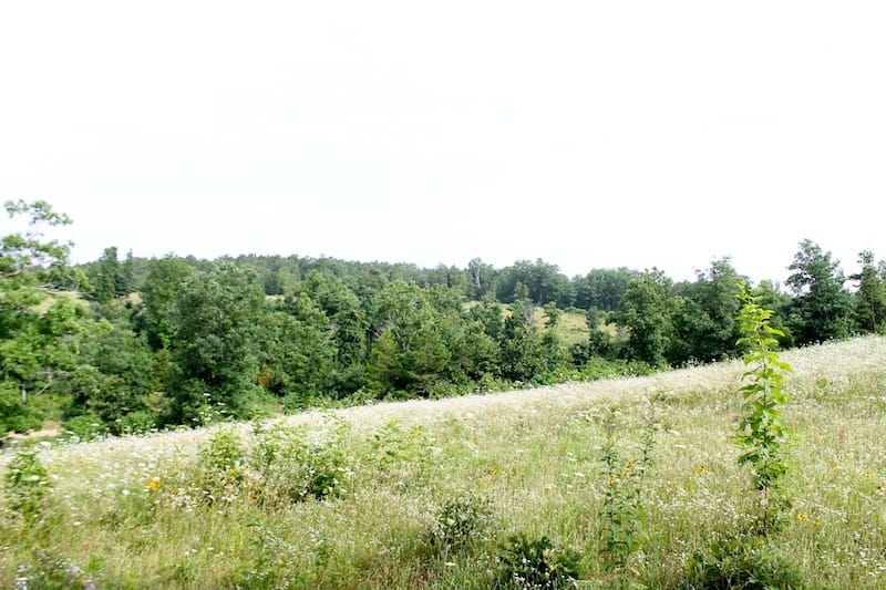 Green Mountain Ranch Tract 4 photo 3