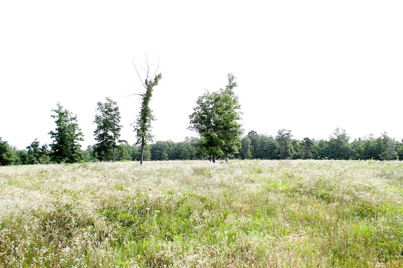 Green Mountain Ranch Tract 4 photo 8