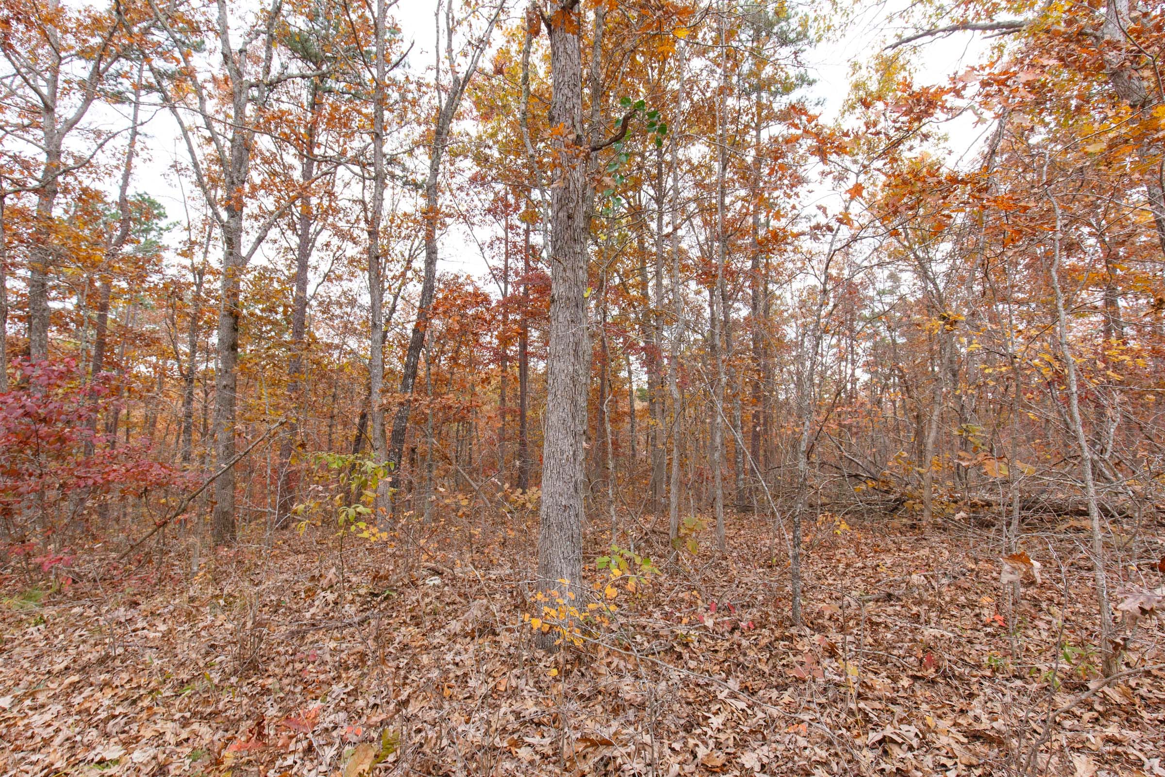 Hawkcrest Tract 50 photo 2