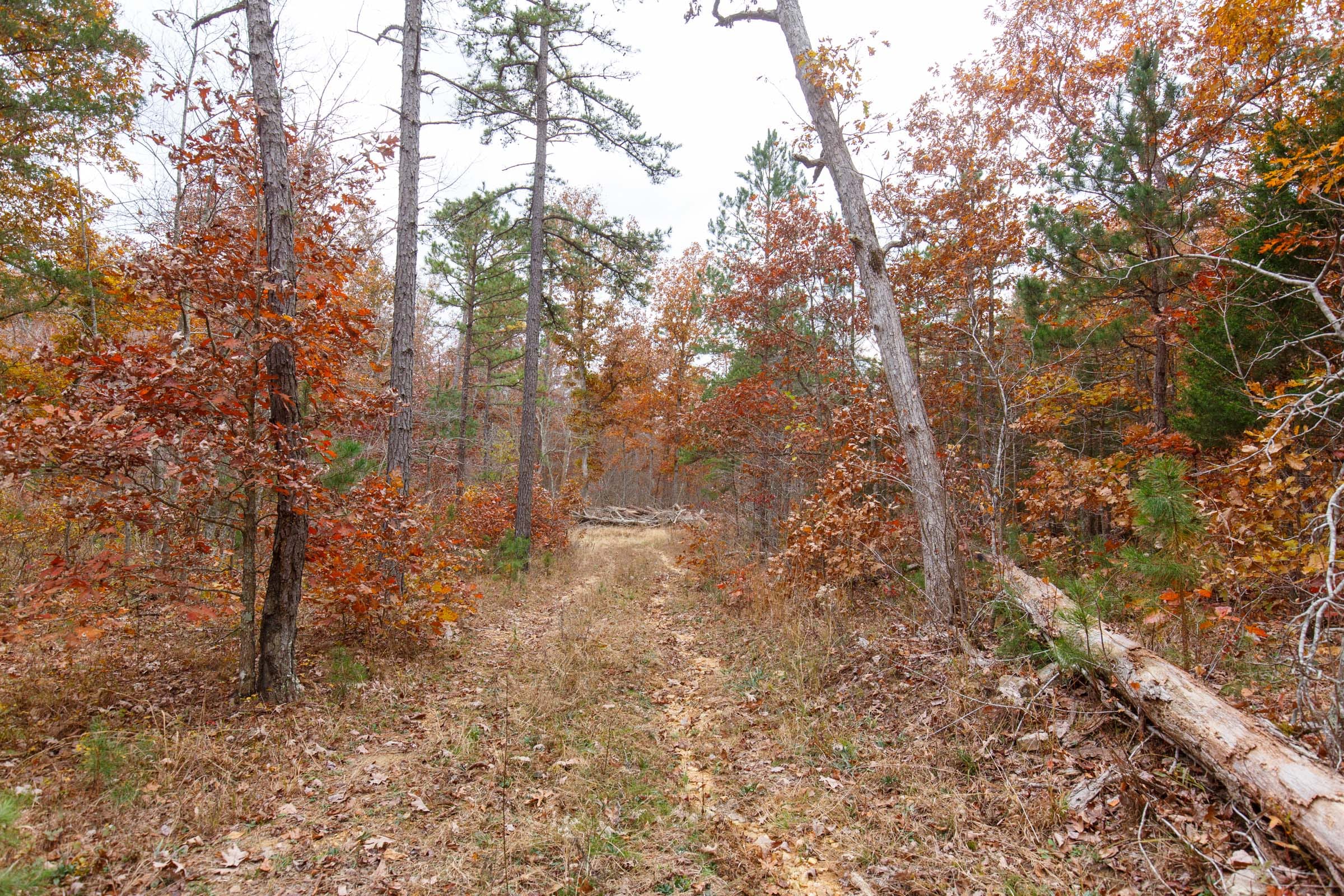 Hawkcrest Tract 50 photo 1