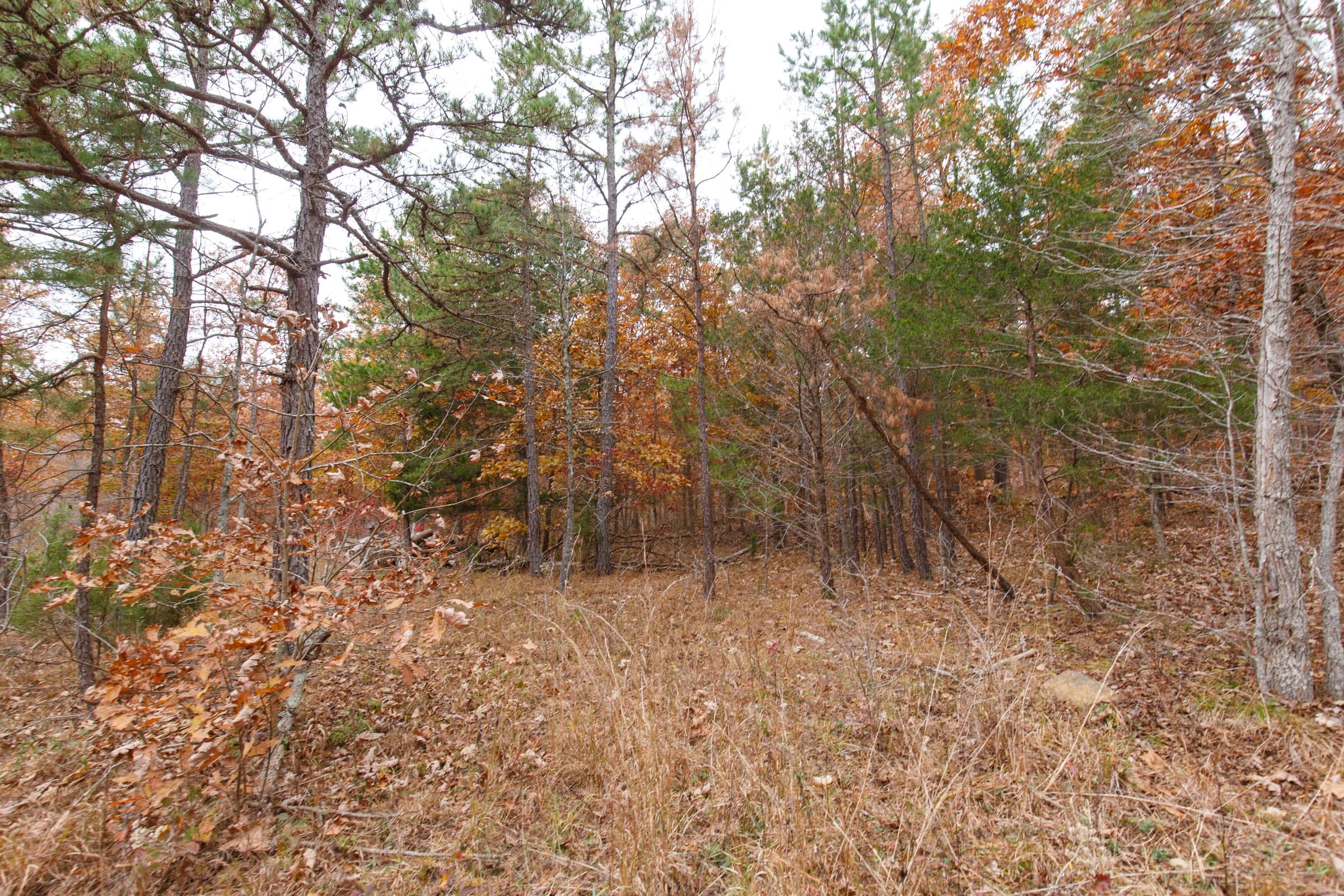 Hawkcrest Tract 50 photo 9