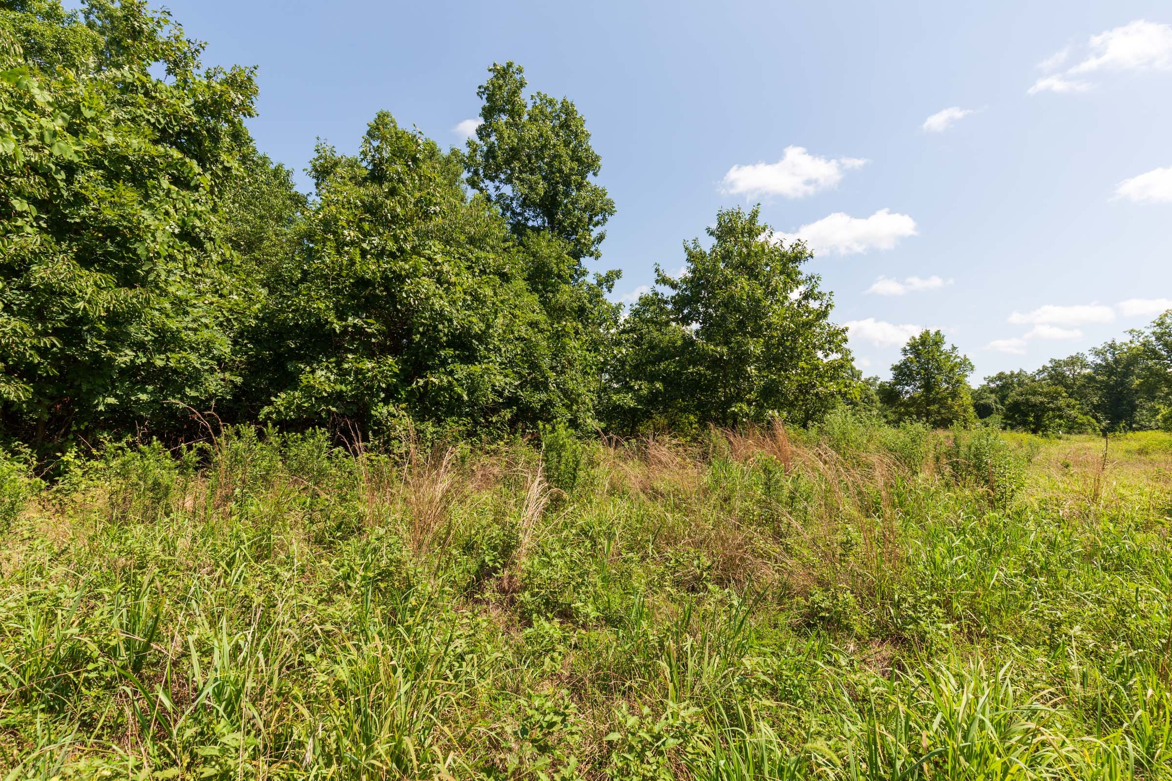 Cypress Ridge Tract 30 photo 4