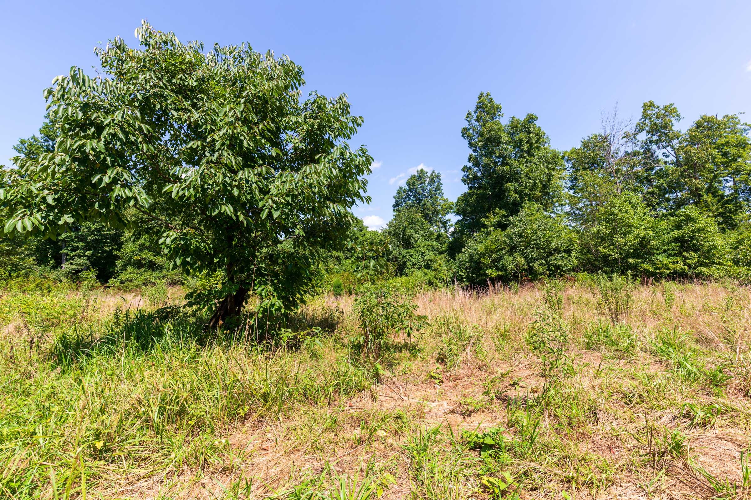 Cypress Ridge Tract 30 photo 8