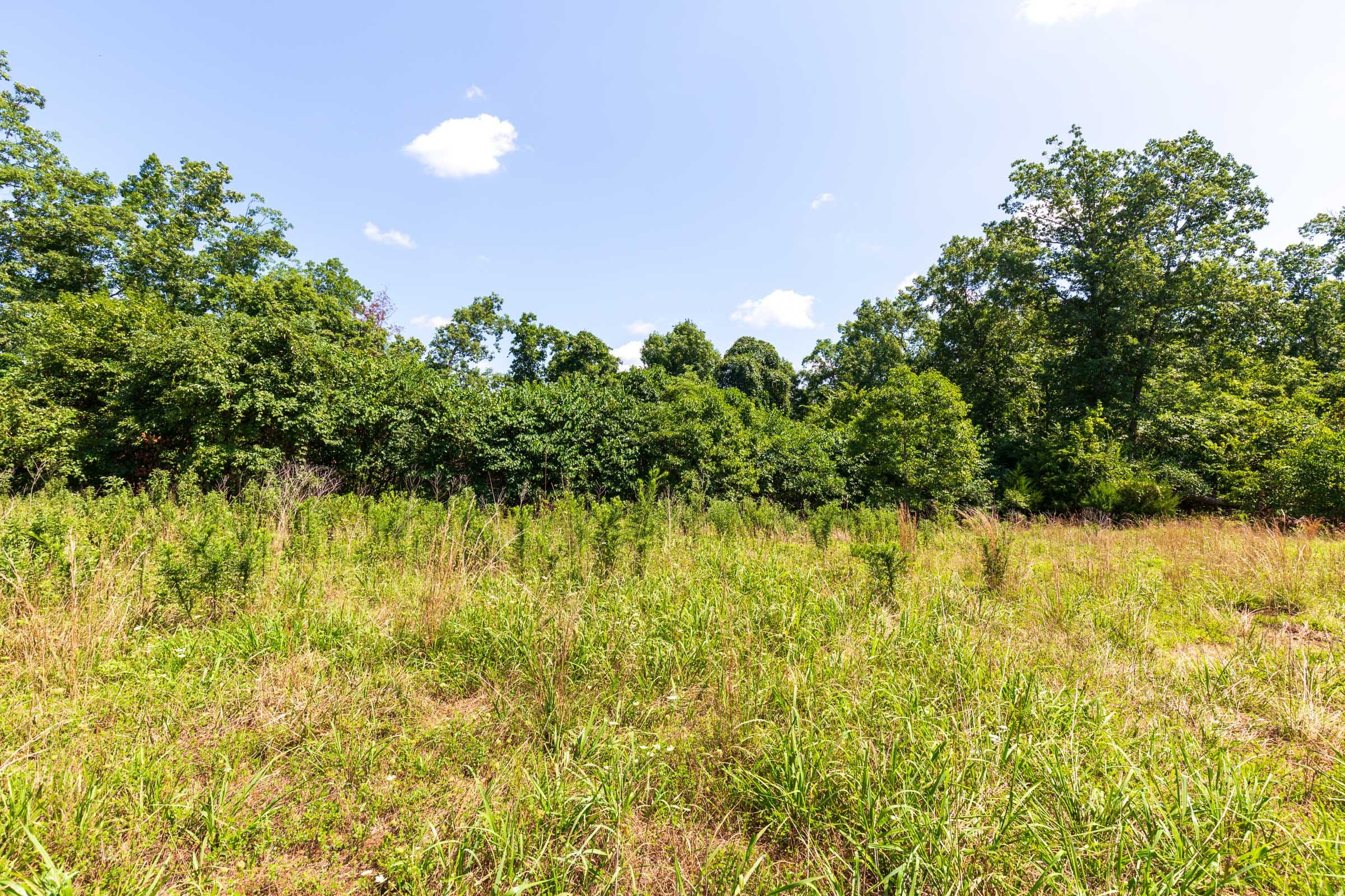 Cypress Ridge Tract 30 photo 14